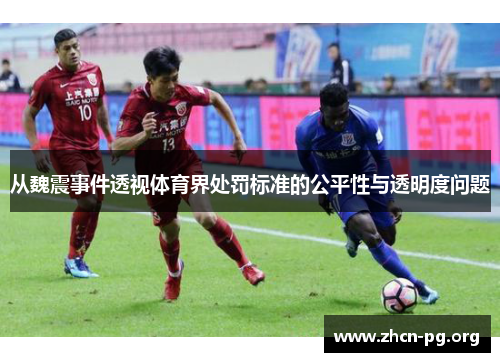 从魏震事件透视体育界处罚标准的公平性与透明度问题
