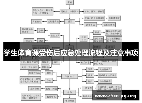 学生体育课受伤后应急处理流程及注意事项