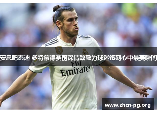 安息吧泰迪 多特蒙德赛前深情致敬为球迷铭刻心中最美瞬间
