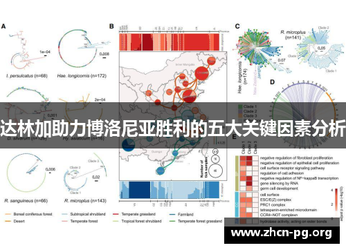 达林加助力博洛尼亚胜利的五大关键因素分析